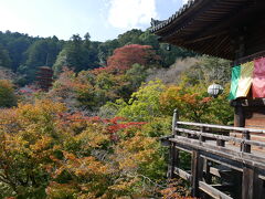 秋の長谷寺へ紅葉具合を確認しに行く旅@奈良県