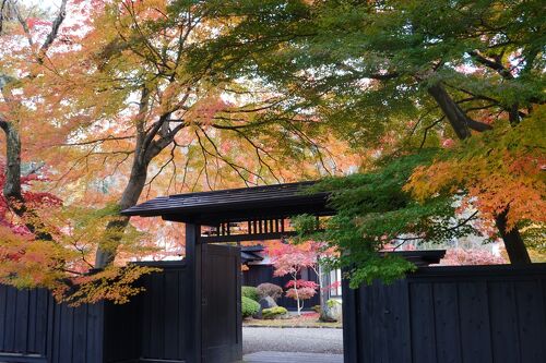 ☆紅葉も美しい武家屋敷通り☆ 2022年11月 角館街歩き