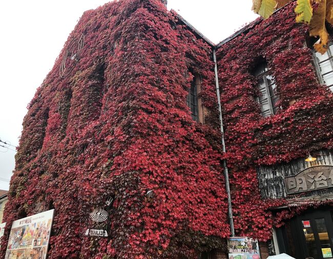 北海道最後の紅葉をめぐる名湯リゾートステイ４日間⑭４日目の2　～ベイエリア～函館空港