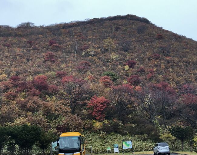 　2022年10月31日（月）～11月3日（木）阪急クリスタル主催「2021年オープンの函館の奥座敷に佇む温泉リゾートに3連泊　北海道最後の紅葉をめぐる名湯リゾートステイ４日間」に参加しました。その旅行記です。クリスタルは、いつもの阪急トラピックスより少し豪華かつ少し高価な旅です。ホテルは「『湯と食』を味わい尽くす宿」と言うのが売りです。晴天続きで、関東より少し早めの紅葉を楽しみ、温泉も食も夜景も、楽しんで来ました。<br />旅の2週間ほど前に「後から割適用」通知。旅費が8000円×３日分　後日返金、地域クーポン3000×3日分　与える旨が来たので、楽しみも増えました。主な日程は下記の通りです。①②③・・は旅行記の番号です。⑮までありますので、宜しければ、興味のある所だけでも、ご覧いただければ幸いです。<br /><br />10月31日（月）１日目　自宅・・自宅最寄りのバス停＝羽田空港　12：55　ANA555～函館空港着　14：15 ①＝湯の川温泉「海と灯　ヒューイットリゾート」②3連泊<br />11月1日（火）2日目　ホテルお風呂③ホテル発　8：30　函館朝市にて朝食④＝五稜郭公園⑤＝笹流ダム＝Danshaku lounge　にて大沼牛のハンバーグランチ＆道の駅なないろななえにて買い物⑥＝大沼国定公園⑦＝函館七飯ゴンドラ＝山頂レストランでスイーツセット＝北斗回廊ライトアップ鑑賞⑧＝沙羅の月にてディナー＝香雪園紅葉ライトアップ鑑賞＝ホテル⑨<br />2日（水）3日目　1日自由　ホテル⑩＝函館駅周辺＝湯の川イオン＝ホテル⑪＝タクシーで函館山夜景観賞＝ホテル⑫<br />3日（木）4日目　ホテル＝恵山つつじ公園⑬＝ベイエリア　自由ランチ（於:ラッキーピエロ）＝函館空港⑭　15：00 ANA556 羽田空港　16：30<br />＝ 自宅最寄りのバス停・・自宅⑮<br />