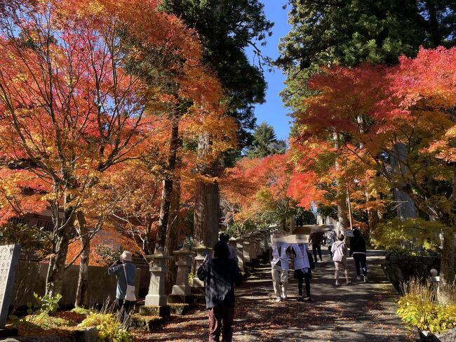 第5回 "JALどこかにマイル" の旅 <岡山桃太郎空港> 四国八十八ヶ所霊場レンタカー遍路 香川編