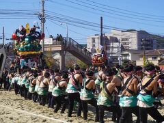 唐津くんち＆佐賀バルーンフェスティバルと福岡少々（二日目）～全ての曳山が集結する西の浜の御旅所神幸。砂地の曳き込みが力の入るハイライトです～