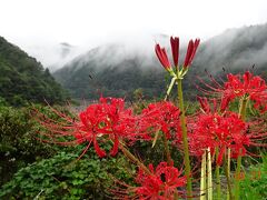 2日目　レンタカーで巡る 高知～桂浜～四万十川～宇和島～下灘～松山～道後温泉　