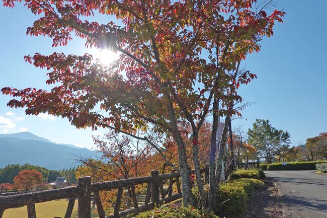 東京ドーム約11個分の広さの山梨県富士川クラフトパークに行って来ました。<br />ここは、道の駅富士川観光センターも隣接されています。<br /><br />★山梨県富士川クラフトパークのHPです。<br />https://www.kirienomori.jp/<br />