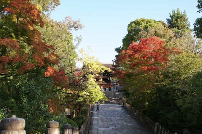 所用で京都へ。<br />南禅寺で紅葉を楽しんで、夕食は創作和食。<br /><br />翌日は東寺で特別拝観をさせていただいて、モダンな四川料理を楽しみました。