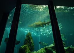 2022.8 東海大学海洋科学博物館・自然史博物館と日本平ホテル ランチビュッフェ