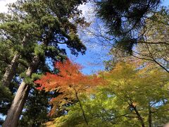 1泊2日でも2県！福井県・永平寺＆滋賀県・琵琶湖へ　紅葉欲張り旅～