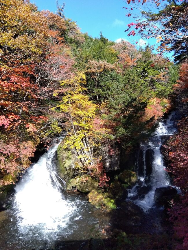 10月11日のリベンジです。もう寒いのがわかってるので完全な冬支度で行きました。清滝ICで日光有料道路降りたら８℃でした。でも、冬支度なら寒くはないです。金精峠は気温が分かりませんでした。沼田市では暖かいですね。国道17号に入ります。暫く行くと左側に「この先永井食堂渋滞注意」の看板あり。右カーブで突然出ます。しかしいつもの事ですが。駐車場は一杯でお客さんが並んでいます。でも、回転が速いですので待たずに食べられました。何度も来てますので、ただいまーって感じです。いつもの味で美味しかったです。