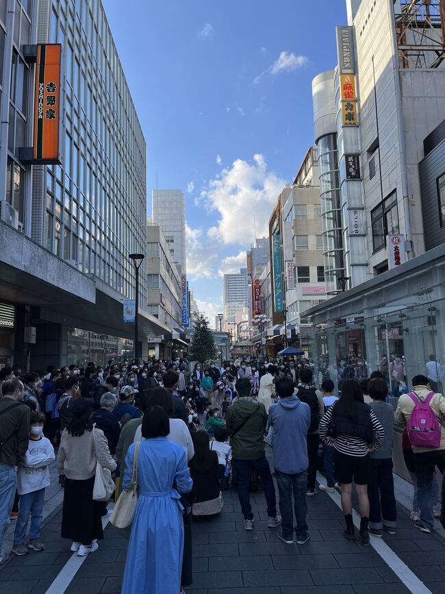 たまたま大道芸人のお祭りをやっているのを知り行ってきましたが想像していたより規模が大きかったです。<br />会場は駿府城公園の舞台パフォーマンスとJR静岡駅から西北に走る呉服町通り一帯を通行止めにしてのストリートパフォーマンスで、どちらも人が多過ぎるくらいでした。