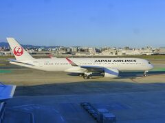 ANA＆JALの特典航空券で行く 東京１泊旅【福岡空港利用（展望デッキ、ANAラウンジ、カードラウンジ）編】