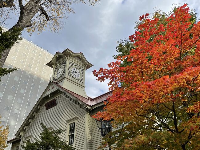 ニセコから小樽、札幌へ。旧友達と懐かしい場所へ。ソラリア西鉄ホテル札幌に泊まる。