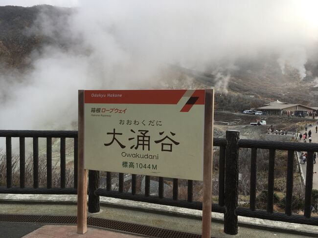 「いざ、神奈川！」全国旅行支援『箱根海賊船とロープウェイで大涌谷散策』小田原鈴廣かまぼこで昼食と買い物