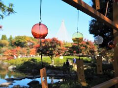 秋色に染まる国営昭和記念公園　色づき始めたイチョウ並木　日本庭園は紅葉見頃でした！
