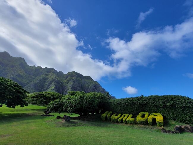 私たち家族の大好きな場所ハワイ・コオリナ<br />今回は→アウラニ{Aulani, A Disney Resort & Spa in Ko Olina, Hawai‘i}<br />2ベッドルーム・ヴィラ・オーシャンビュー×10泊します。<br /><br />~~暮らすように旅をする~~バケーションスタイル~~【9日目】<br />◇◇今日の予定◇◇<br />クアロア(チャンスの神様)⇒⇒2つの絶景ビーチホッピング(カイルアビーチ&ラニカイビーチ)⇒⇒マカダミアナッツファーム⇒⇒ハワイ出雲大社⇒⇒{アウラニ}ルアウショー<br /><br />◆「クアロア・ランチ」“チャンスの神様”に会える場所<br />《チャンスの神様》とは・・・・<br />七福神を乗せた宝船を追いかける八番目の神様で世界に“3体”いるそうです。<br />1体は・・・日本の屋久島に~<br />1体は・・・パワースポットとしても知られる、クアロアに~<br />1体は・・・自分の心の中にいるそうです。<br />素敵ですね(*^-^*)<br /><br />◆2つの絶景ビーチ~ホッピング<br />「カイルア ビーチ パーク」<br />※2019年の全米ベストビーチ→カイルア・ビーチパークに決定!<br />全透明な海水とシュガーパウダーのような白い砂浜が人気のビーチです。<br />「ラニカイ ビーチ」<br />※【世界さまぁ~リゾート】全米No.1ビーチ!と、紹介されています。<br />ハワイ語で“天国の海”という意味を持つラニカイビーチ<br /><br />◆「トロピカルファーム・マカダミアナッツアウトレット」<br />オアフ島唯一のマカダミアンナッツ工場のようです。<br /><br />◆「ハワイ出雲大社=Izumo Taishakyo Mission of Hawaii」<br /><br />★アウラニ{Aulani, A Disney Resort & Spa in Ko Olina, Hawai‘i}<br />「カ・ヴァア:ルアウ・アット・アウラニ=KA WA‘A - A Lū‘au at Aulani」<br />楽しみにしていたショーですが!急遽、中止になりました●~*