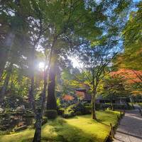 全国旅行支援『きょうと魅力再発見旅プロジェクト』で行く、大阪！？　京都