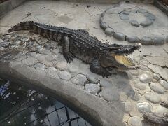 熱川温泉にニューオープンの熱川オーシャンリゾートは、快適でした。