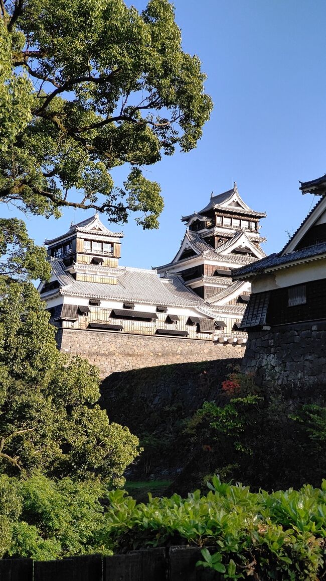 鹿児島県を後にして、午後は九州自動車道を走り、熊本県入り。<br /><br />そして、今夜は阿蘇内牧温泉でお泊まりです。