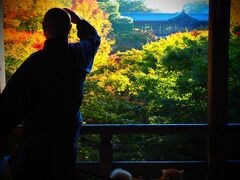 伏見稲荷、東福寺、毘沙門堂、南禅寺。飲んだ、食べた、歩いた。京都の紅葉と大阪のタイ料理　