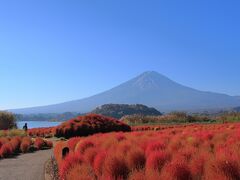 秋の大石公園(山梨県河口湖町)へ・・・