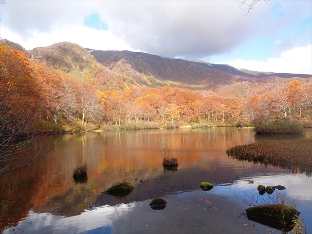 　10月末の土曜日，この日は紅葉を見るために「鶴間池」へ．鶴間池は鳥海山麓の標高900mにある池で，紅葉の名所であると同時に，イヌワシの生息地で，鶴間池を眼下に見下ろせる鳥海高原ラインの展望台からは，大きな望遠レンズを付けたカメラを構える人達で賑わいます．特に紅葉と新緑の時期は人気の観光スポットで，展望台までは車で行けるので，誰でも気軽に鶴間池の紅葉を楽しむことが出来ます．ただし，鶴間池の畔まで行こうとすると，これは逆に結構大変です．<br /><br />　鶴間池に行く一般的なコースは，鳥海高原ラインを上る途中にある，荒木沢の橋を渡った所から沢沿いに1時間ほど歩く必要があります．歩道も整備されていて，多少滑りやすい場所はありますが，それ程大変ではありません．鶴間池には山小屋もあり，避難所としても使えるようです．鶴間池は２つに分かれていて，小さい方の奥鶴間池に行く歩道は余りはっきりしていませんでした．<br />　<br />　鶴間池から鳥海高原ラインに戻るには，来た道を往復しても良いのですが，展望台と荒木沢の中間あたりの鳥海高原ラインに出られる歩道が整備されています．名前はかんすけ坂と呼ぶらしく，こちらの方が道路までの距離は半分くらいですが，急峻な崖を200mくらい登る必要があります．歩道には梯子やロープが整備されていますが，それなりに注意が必要です．「歩道」ではなく，完全な「登山道」と思っていた方が良いです．崖を登り切ると「のぞき」と呼ばれる場所で，登ってきた鶴間池を眼下に見ることが出来ます．鶴間池を見学した後は日向里カフェに立ち寄りカレーを食べて帰りました．10月末ということもあり，既に紅葉も終わりかけ，池の畔は寒かったですが，秋の鳥海山の美しい姿を見ることも出来，とても充実した一日になりました．<br />　<br />