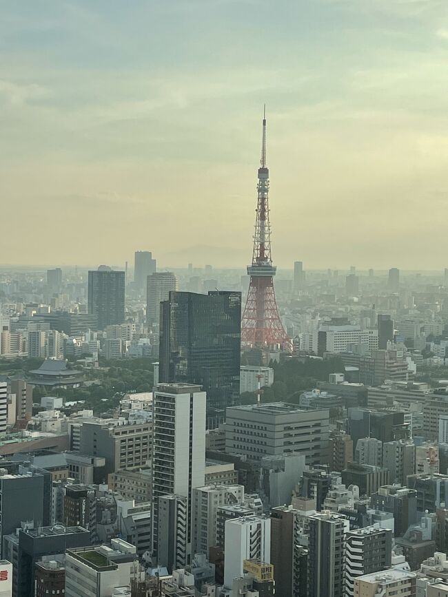 今年は、行きたいライブにはできるだけ行く!<br />見たいものは見れるだけ見る!をモットーに、<br />関西圏のみならず、関東圏にも何度か行ってます。<br />今回は4月と6月と8月の3回分!の上京の記録を・・・。<br />なんと6本のライブ鑑賞記^^;と食べ歩き記とホテル滞在記をまとめて。