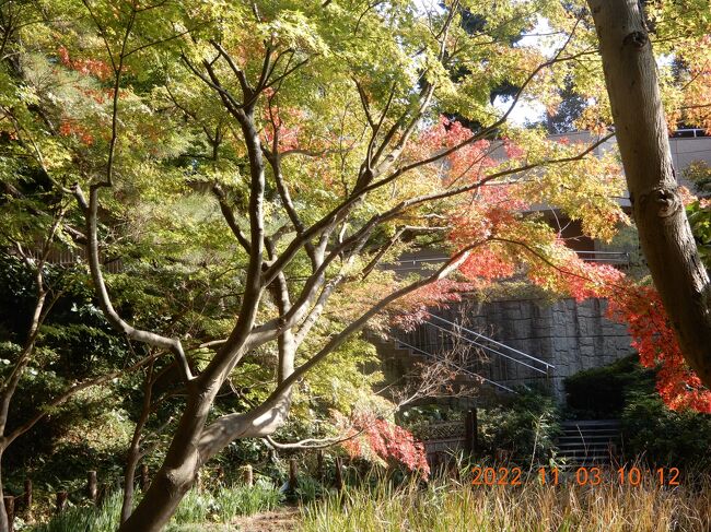 マリオット東京(品川) 連泊1週目の三日目ディナー<br /><br /><G~和 Selection~> <br /> 東京マリオットホテル内<br /> 所在地:東京都品川区北品川4-7-36<br /><br />一週目の三日目と三週目の一日目に行きました。