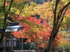 神峯山寺の紅葉