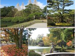 秋の金沢（３）雪吊りの兼六園