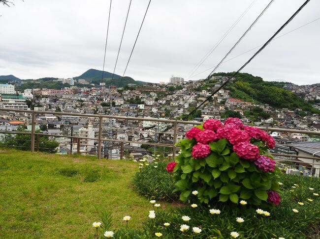 初めての長崎旅行に行きました。<br />３泊４日で前半は長崎市、後半はハウステンボスへ行きました。<br /><br />長崎市編①<br />新地中華街～グラバースカイロード