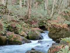 晩秋の東北・奥入瀬渓流