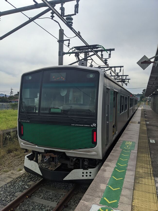 秋の乗り放題パスで乗り（呑み）鉄をしました。（３日目）