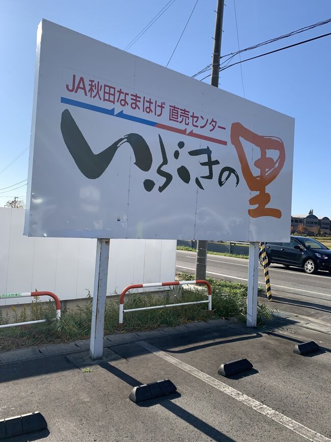 JA秋田なまはげの産地直売センターの　はしごをする。