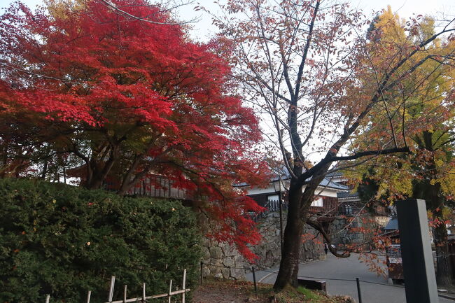 紅葉を見に上田城跡公園へ。<br />ピークは過ぎていたが十分綺麗でした。
