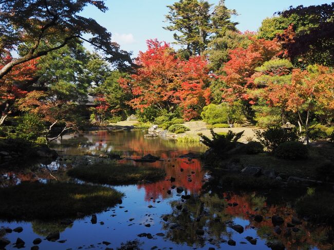 今年の夏に予定していた関西旅行を諸事情でキャンセルして、とても残念に思っていたのですが、この秋に延期していました。だんだん近くになり、いつ頃が良いのか？日頃、仲良くしていただいているakikoさんにお尋ねしたら11月後半は京都へは寄り付けなくなるそうで、前半の方が良いとのこと。この日を選んで行ってきました。今回も、あまいみかんさん、akikoさんにお世話になります。あまいみかんさんは、ちょうどご都合が悪くて最終日に大阪でお会いできることに。そしてまた今回は、新たに4トラの素敵なメンバーの方々にもお会いすることができました。旅好きな方が集まる4トラって良いですね☆･ﾟ:*紅葉も今年は早いのか？始まっていて一部分でも真っ赤に染まった京都をじっくり楽しむことができました。これも京都を何度も訪れて、知り尽くしているakikoさんの案内が良かったお陰です。大阪ではあまいみかんさんにも大変お世話になりました。<br /><br />akikoさんがとっても素敵な旅行記を書いてくださっています。こちらも是非にご覧ください。<br /><br />4トラ仲間と&quot;薄紅葉の京都を愉しむ旅 2022&quot; 【1】無鄰菴～将軍塚青龍殿まで<br />https://4travel.jp/travelogue/11791144<br /><br />4トラ仲間と&quot;薄紅葉の京都を愉しむ旅 2022&quot;【2】夜の東山エリアをぶらぶら散策<br />https://4travel.jp/travelogue/11791948