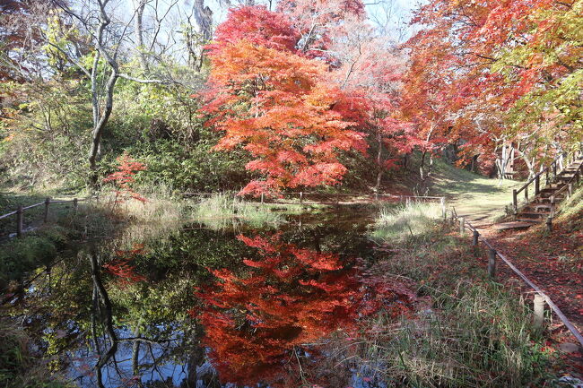 紅葉が綺麗と聞いて高遠城址公園に寄ってみた。