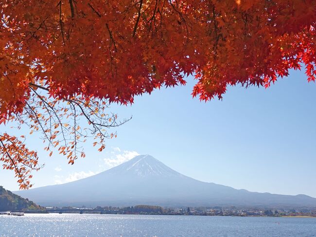 紅葉を見に河口湖へ 2022.11.08 ＝4.もみじ回廊近くの湖畔の散歩＝