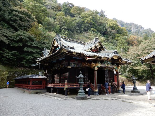 富岡でキウイ狩りと、妙義神社参拝