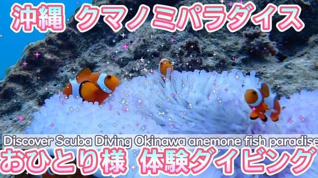 2022年10月：＜沖縄クマノミパラダイス！体験ダイビングとおんなの駅で揚げたてサーターアンダギー＞