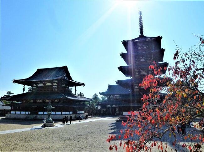 　&lt;古都 奈良&gt;はまだまだ拝観/お参りを！ 今度も2泊3日なのでバス乗車券(1/2DayPass)を求めて、1)斑鳩エリア,2)西の京エリア,3)奈良公園エリアに出発ですが、`時には`見事な紅葉＆建物でした♪　それぞれ旅行記に;古都 奈良は紅葉の始まりでした(11月上旬);1)斑鳩エリア,2)西の京エリア,3)奈良公園エリア<br />　(また`斑鳩`は奈良市ではないのですが&lt;古都 奈良&gt;に,,)<br />1)斑鳩エリア[法隆寺/中宮寺/法起寺]<br />　①法隆寺…お参り;小学校時代に`微笑み`にも幾つものスタイルがあるのだと教えてくれたアルカイックスマイルの釈迦三尊像/感謝,東日本大震災にも助けてくれた百済観音像/夢殿の救世観音菩薩立像/(玉虫厨子にも感無量です,,)<br />拝観;日本最古の五重塔/各棟の配置～表紙の風景(紅葉も入るので大講堂の境内から)/世界最古の木造建築 金堂/夢殿は八角円堂(日常の日帰り温泉も八角円堂で夢殿の真似を,,すみません)<br />　②中宮寺…何と言っても菩薩半跏思惟像が;世界の三つの微笑像(スフィンクス/モナリザ);柔和な口元の微笑と思惟が一緒に,,(一般人は`考える人; ロダン`に;考える思想が違うのですね！)<br />　③法起寺…世界！最古の三重塔もですが、感激したのは本尊 木造十一面観音立像が窓際にあって目の前にお姿を、お参りしました☆<br />　斑鳩エリアは、いずれも教科書/素人の図鑑/紙幣！で見て知っていることですが、実際に拝観/お参りをし感激/感謝/懐かしい思い//、天気は旅行期間は晴れでしたょ☆　