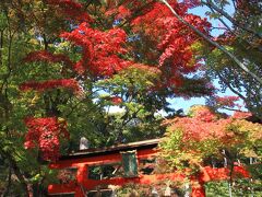 大原野神社の紅葉