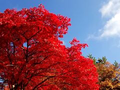 長野で紅葉狩り　２