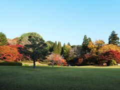 「いまなら。キャンペーン」奈良定期観光バスで行く浄瑠璃寺・岩船寺＆奈良ホテルランチ②