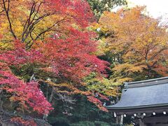 椿堂特別拝観があったので行ってきました～比叡山延暦寺～N○Kの撮影で女優さん発見