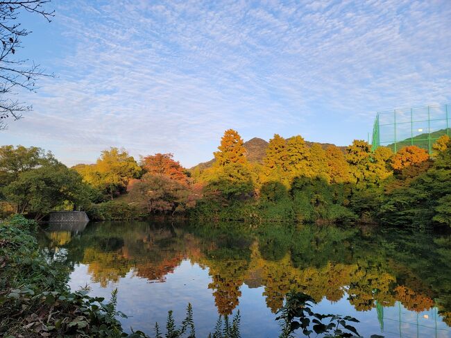 　もみじ狩りには少し早かったですが、天気が良かったので、奥須磨公園に出掛けました。黄色や赤に色づき始めた木々を愛でながら、最後にはとてもきれいな夕日も見ることができました。