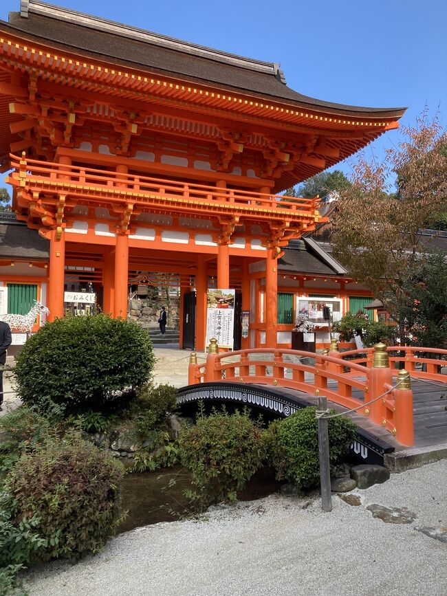 春に京都旅行をした際、上賀茂神社へ行った翌日にヤサカタクシーさんで幻の二葉葵タクシーに乗車。レシートを持参すると上賀茂神社で記念品をもらえますとのこと。<br />これは、呼んでもらってる、絶対再訪せねばと計画した秋旅行でした。<br />でも並ぶのも混みも嫌いな私。あえて紅葉を少し外していきましたが・・よかったね。京都。ほぼ人が戻ってる。(泣)