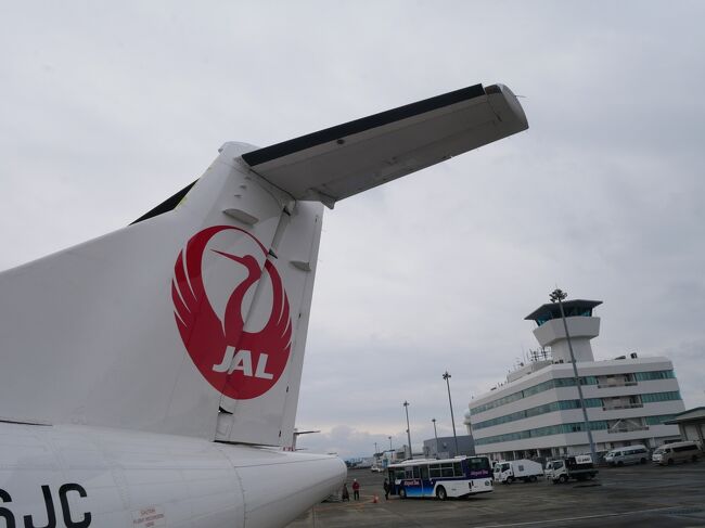 旅仲間のクサポンさんに「次は冬の北海道をよかったらご一緒に」と言われていたので雪のタウシュベツ川橋梁に行ってセットで一人旅ではハードルの高い北海道の冬のアクティビティも楽しむのかな、なんて思ってた。<br />そして11月になって「興味なさそうだけどケイビングどうでしょう?」というお誘い。<br />「けいびんぐ?」と思い一緒に送られてきた旅行記を見ると…「……鹿児島!?北海道じゃないの!?」と少々混乱。<br />そしてケイビングとがどうやら洞窟探検みたいなものらしい。<br />これはなかなか楽しそう。<br />私は全くの初耳だったけど前からあるアクティビティらしい。<br />なかなか楽しそうなので行ってみたい。<br />ということでここから怒涛の下調べ。<br />調べてみると…離島は航空券が高い!!<br />が、行こうと思っている期間中にJALでは奄美群島キャンペーンをやっていてこれをうまく使えば費用は抑えられそう。<br />が、どうすればお得なのか考えるがなかなか大変で…途中何が何だか分からなくなってきた(;^_^A。<br />お得って手間はかかるのよね。<br />手間をかけた人だけがお得を享受できるのね。<br />詳細は旅行記をどうぞ。