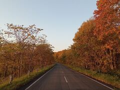 道東２０２２秋旅行記　【９】釧路湿原