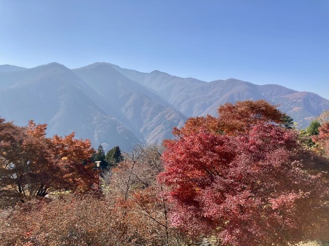 三峯神社へ行ってきました。<br />秩父のあたりではすでに紅葉も始まっていました。