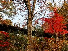 花貫渓谷紅葉まつり