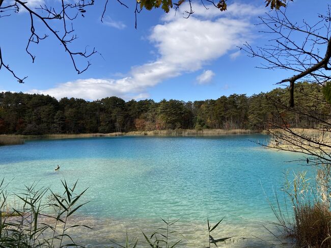 京都の社寺のわびさび的な紅葉じゃなくて、自然の中のスケールの大きな紅葉を見てみたいな~、と思ったのが昨年のこと。同じ頃にテレビで五色沼を見た友人Mが「福島に行ってみたい」と。一年待って出かけてきました♪<br /><br /><旅程><br />10/28 11:20 ITM IBX079 12:25 FKS<br /> 磐梯吾妻スカイラインドライブ (裏磐梯泊)<br />10/29 五色沼散策<br /> 喜多方街歩き (東山温泉泊)<br />10/30 会津若松観光<br /> 塔のへつり<br /> 18:20 FKS IBX082 19:35 ITM<br /><br />この旅行記は、ダイナミックな景色を楽しんだ磐梯吾妻スカイライン、裏磐梯のペンション、そして五色沼自然探勝路を散策した様子です。 <br />